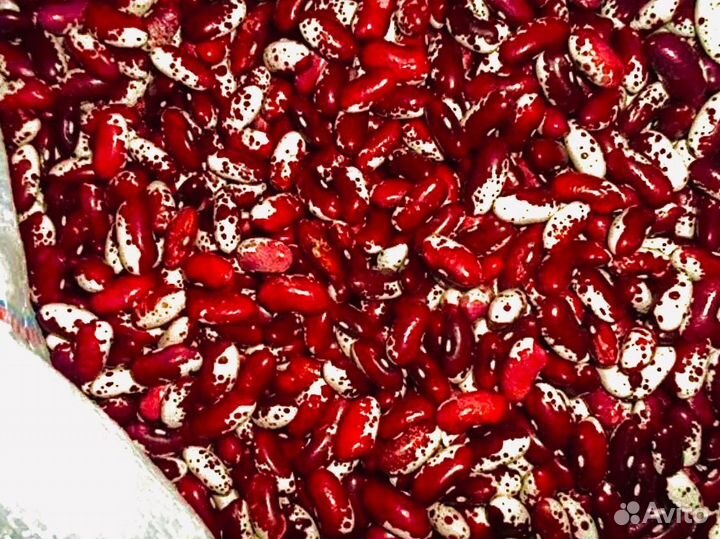 Фасоль оптом