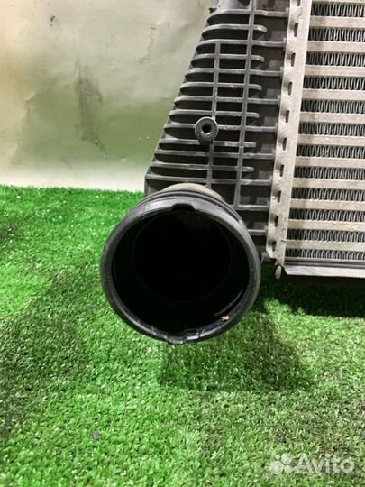 Интеркулер Audi A3 8P CCZ 2008