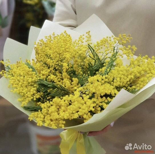 Букеты из мимозы (Арт.26776)