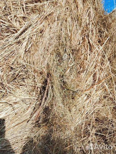 Сено в тюках