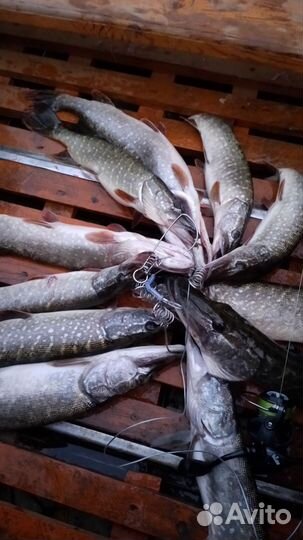 Продам Казанка М + Hidea 9.9pro