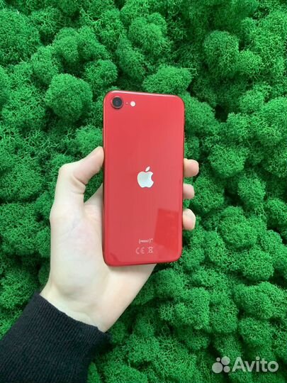 iPhone SE (2022), 64 ГБ