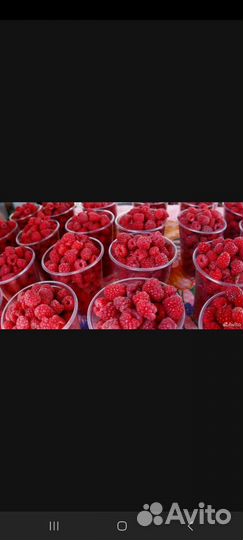 Вишня малина