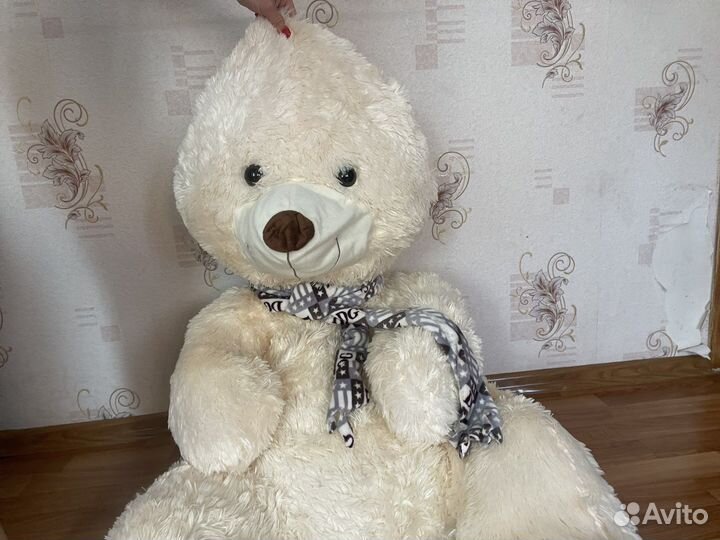 Медведь большой новый