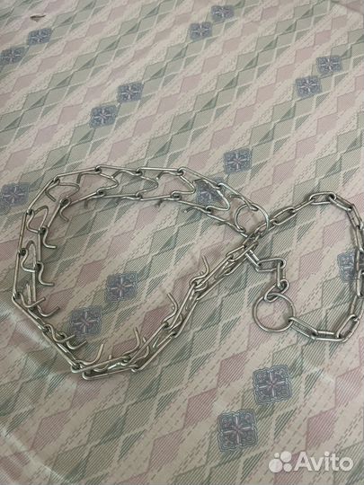 Строгий ошейник для собак