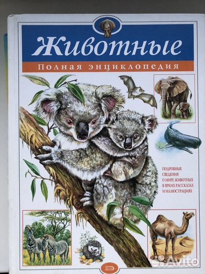 Детские энциклопедии