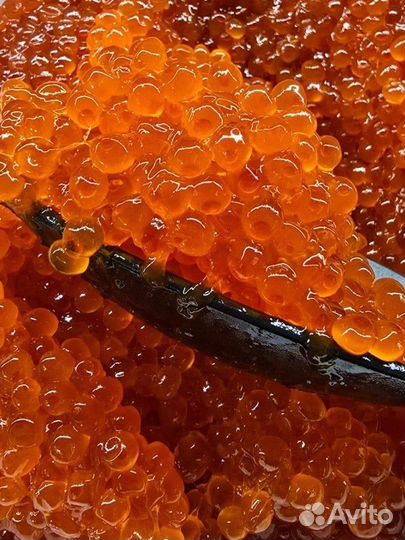 Красная икра опт