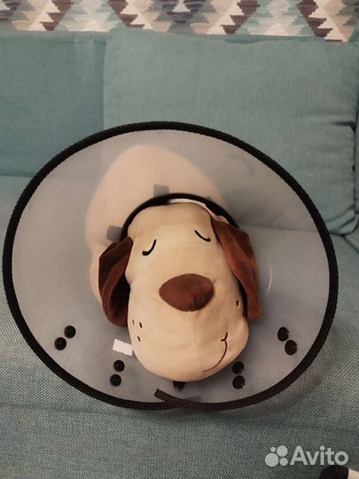 Воротник для собак