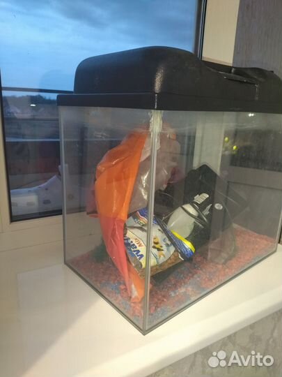 Аквариум