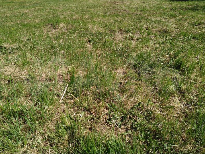 Дача 24 м² на участке 5 сот.