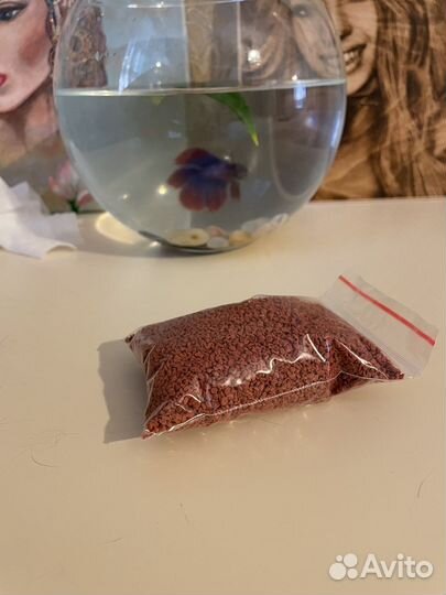 Аквариум с рыбкой