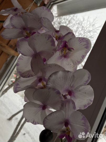 Панно и веточка орхидеи