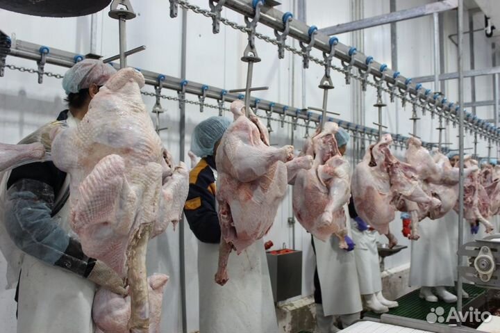 Обвальщик птицы (вахта, без опыта)