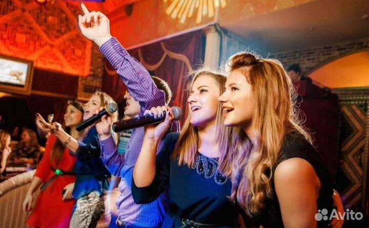 Диджей (DJ) Караоке профессиональное AST