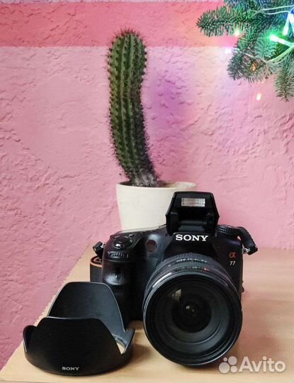 Sony a77 + объектив sal 16-50 2.8 ssm