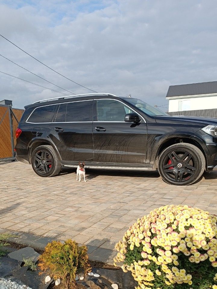 Mercedes-Benz GL-класс: фото владельца