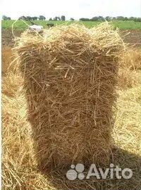 Солома ячменная в тюках