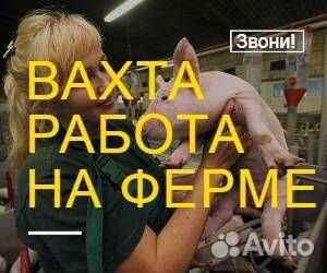 Скотник вахта без опыта от 20 смен