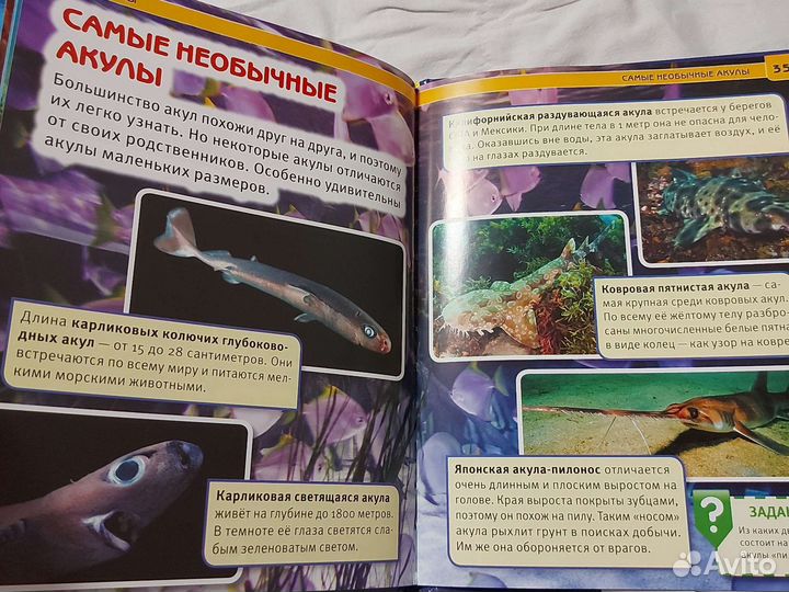 Книга про акул