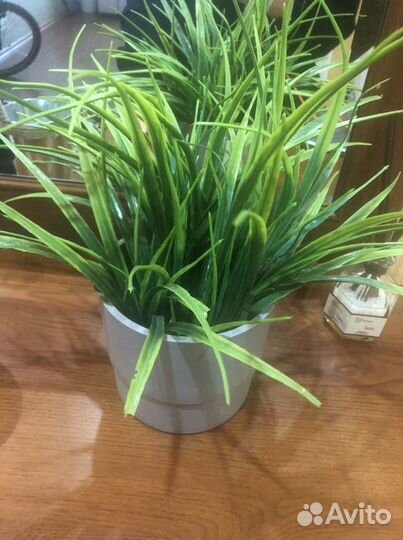 Кашпо для цветов