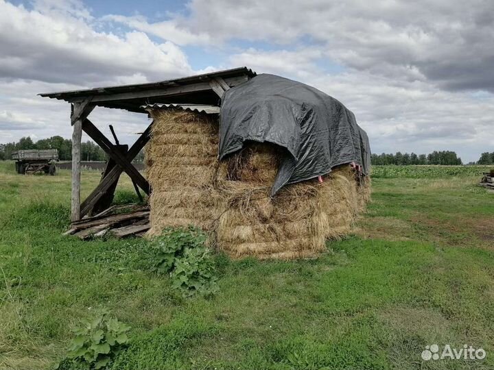 Сено в тюках