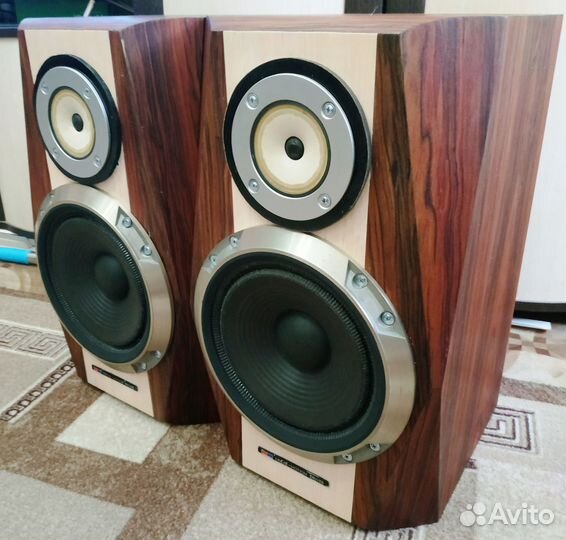 Авторская Большая полочная Акустика