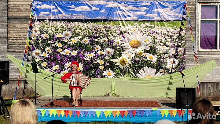 Баянист на праздник, юбилей,день пожилого человека