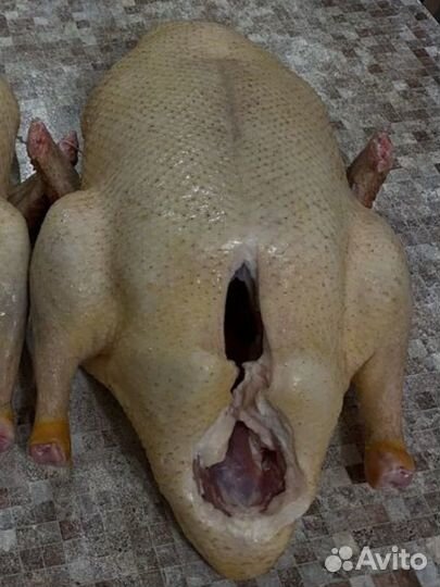 Мясо французкой утки(домашнее) опт и розница