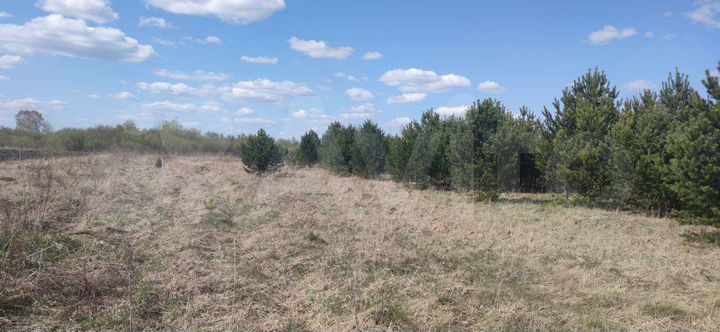 Участок 19,5 сот. (СНТ, ДНП)