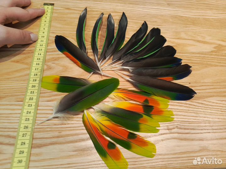 Перья для творчества