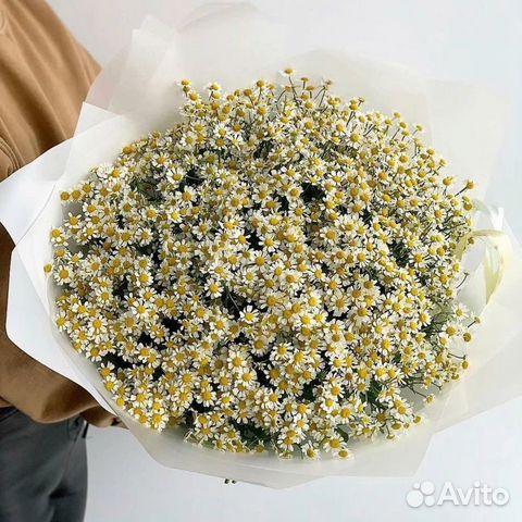 Букет из ромашек 11 21 31 41 51