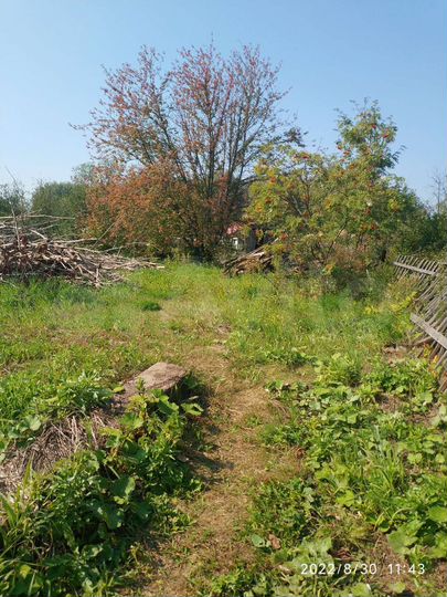 Дача 20 м² на участке 7 сот.