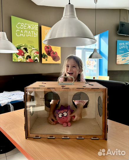 Аниматор на праздник