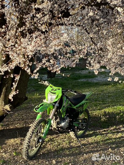 Motoland xr lite 250