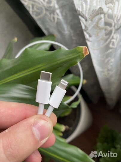 Зарядный шнур на iPhone
