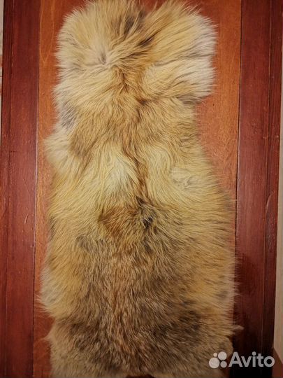 Шкурка животного