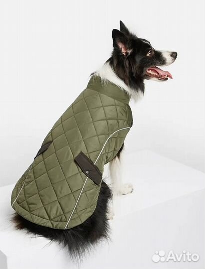 Жилет для собак