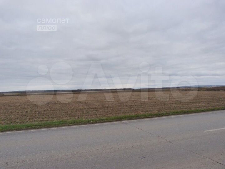 Участок 85,5 сот. (СНТ, ДНП)