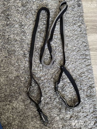 Амуниция поводок обувь одежда миска для собак