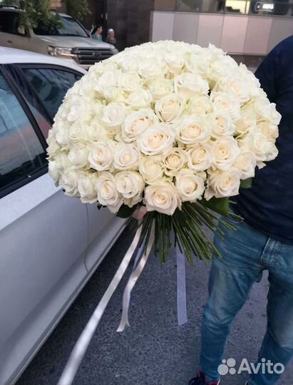 Розы, букет цветов 101 роза