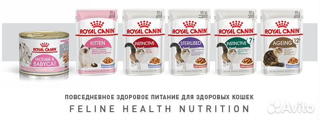 Сухие корма Royal Canin для собак и кошек