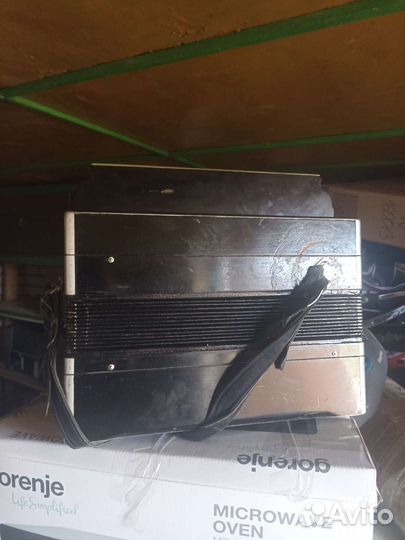 Баян тульский