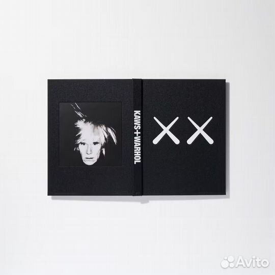 Kaws and Andy Warhol art book