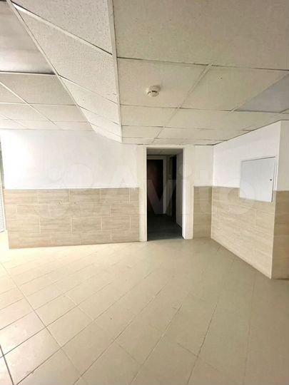 Торговое помещение, 230 м²