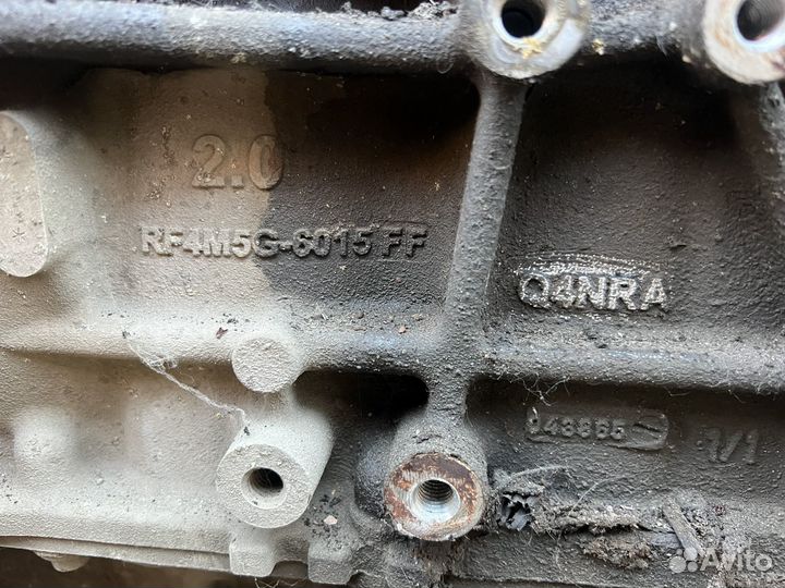 Двигатель Ford Focus 2.0