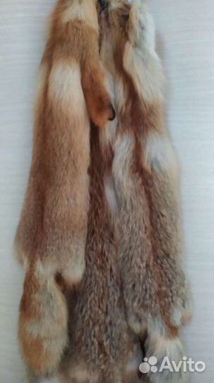 Шкура лисы