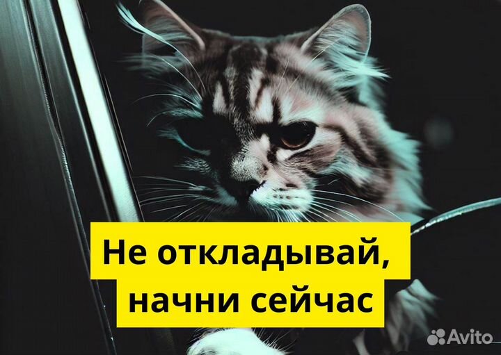 Ищем водителя на л/а в Яндекс.Go