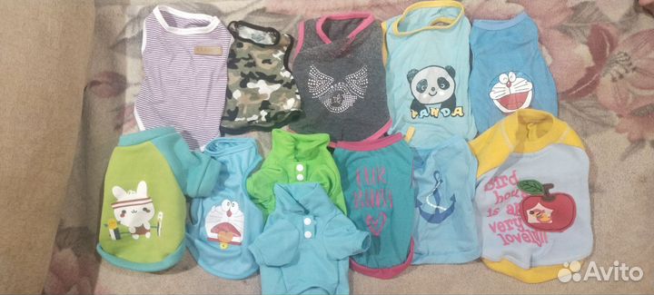 Одежда для кошек и собак