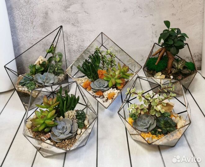 Флорариумы в наличии