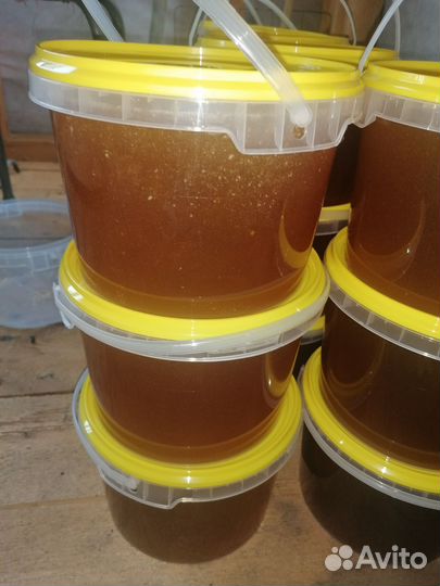 Свежий мёд 2024